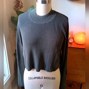 Wilfred Salome Knit Cropped Long Sleeve Top